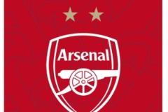 阿森納女足問鼎歐冠，社媒頭像更新彰顯榮譽(yù)