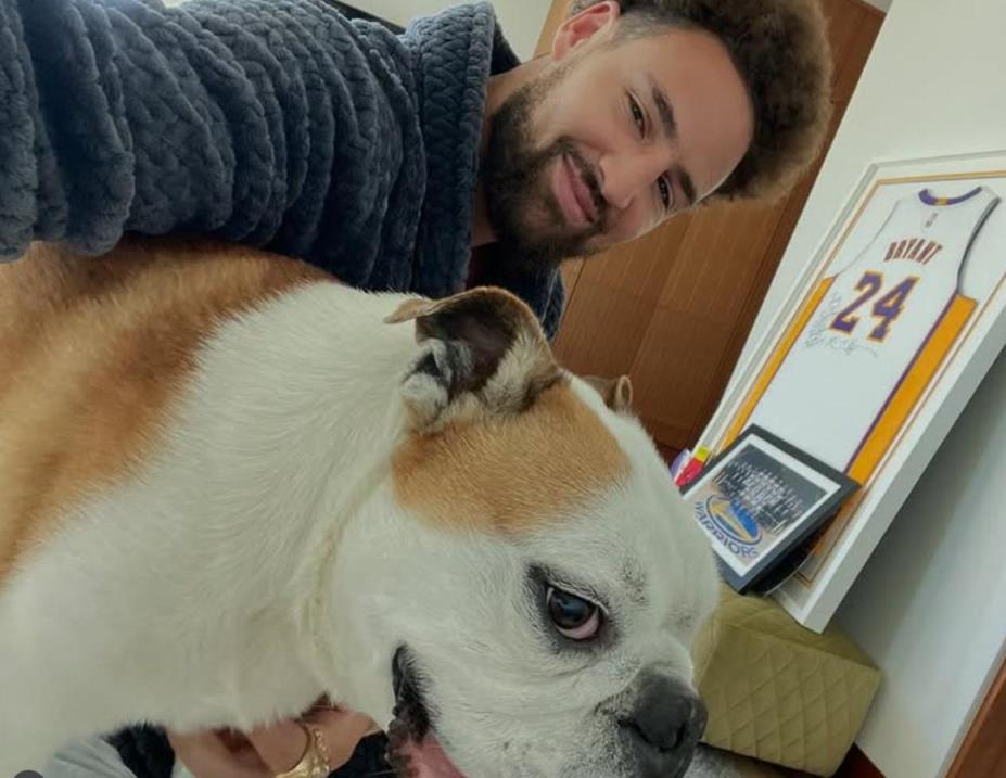 克萊告別愛犬Rocco：你將在狗狗的天堂里繼續(xù)玩籃球