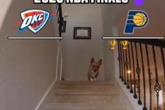 網(wǎng)紅柯基犬Air Corgi預(yù)測：步行者客場2-0后3-1領(lǐng)先，最終6場奪冠