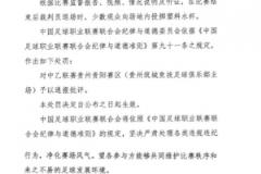 官方通報貴陽賽區(qū)因少數(shù)觀眾投擲塑料水杯被批評