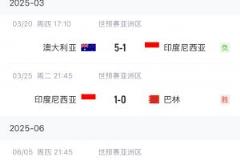 印尼因球迷歧視行為被FIFA罰款約3萬美元，主場迎戰(zhàn)中國比賽上座率受限