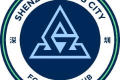 2025中超聯(lián)賽第13輪 深圳新鵬城主場對陣武漢三鎮(zhèn)比賽延期通知