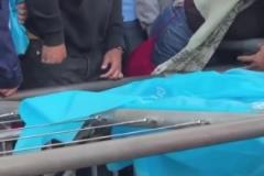 洛里這反應太慢了！羅伊斯在洛杉磯德比中一腳任意球絕平